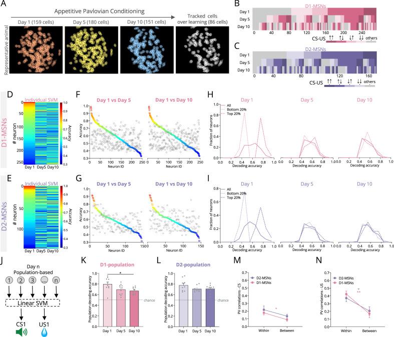 https://cdn.ncbi.nlm.nih.gov/pmc/blobs/6a86/11696804/083a026a3ace/41467_2024_55269_Fig3_HTML.jpg