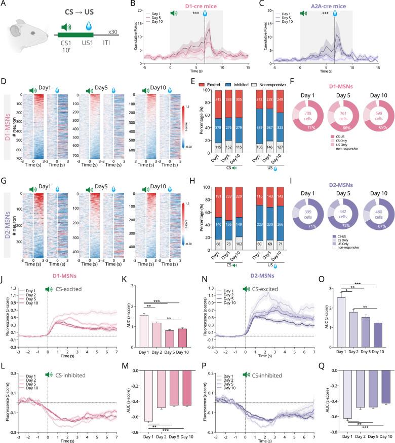 https://cdn.ncbi.nlm.nih.gov/pmc/blobs/6a86/11696804/20b9cecaecc5/41467_2024_55269_Fig2_HTML.jpg