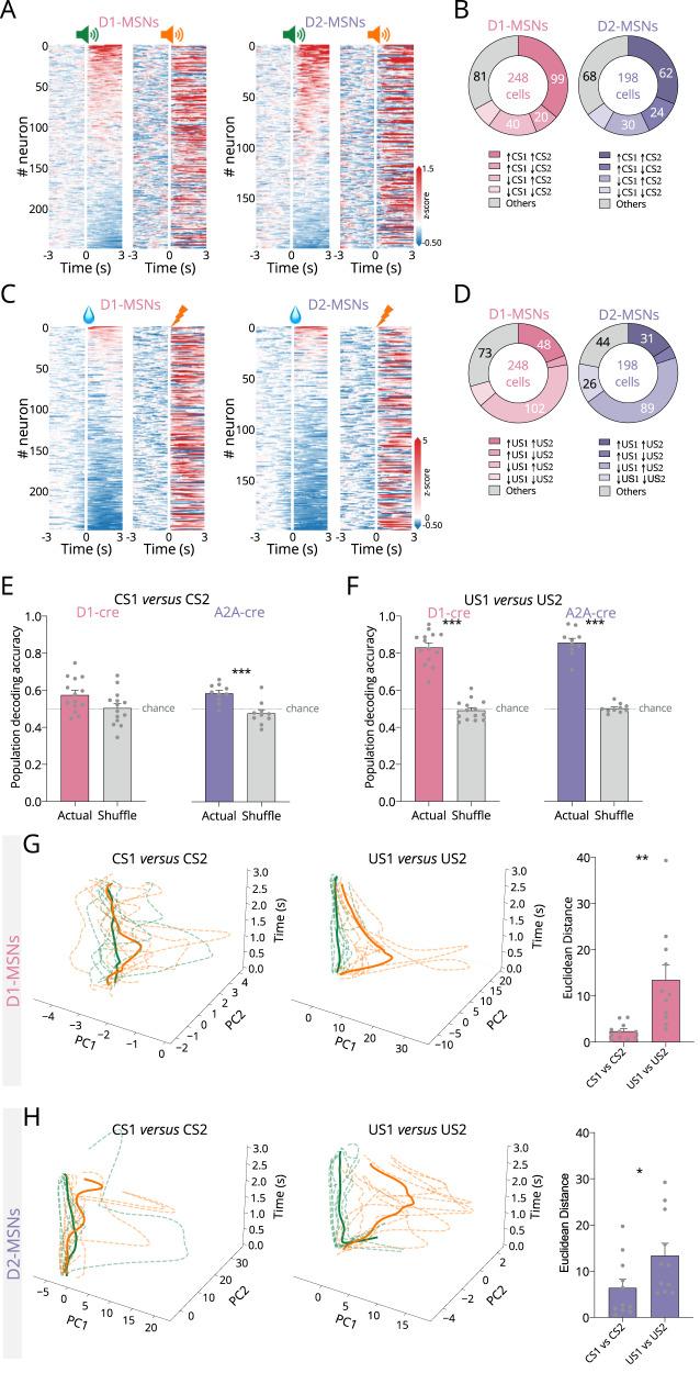 https://cdn.ncbi.nlm.nih.gov/pmc/blobs/6a86/11696804/580c7a7e68f0/41467_2024_55269_Fig6_HTML.jpg