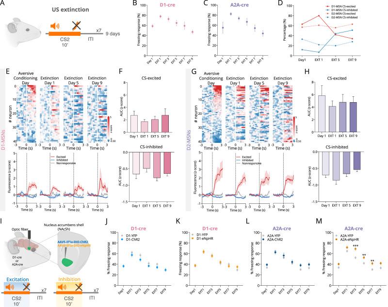https://cdn.ncbi.nlm.nih.gov/pmc/blobs/6a86/11696804/78fbed32be66/41467_2024_55269_Fig7_HTML.jpg