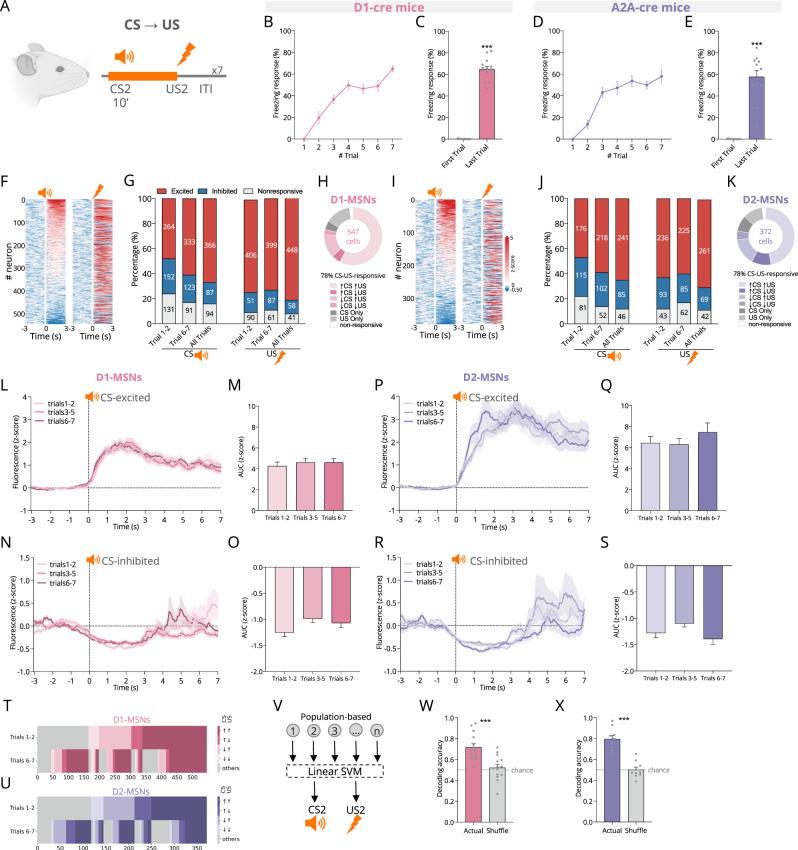 https://cdn.ncbi.nlm.nih.gov/pmc/blobs/6a86/11696804/d1b4befcfbdd/41467_2024_55269_Fig4_HTML.jpg