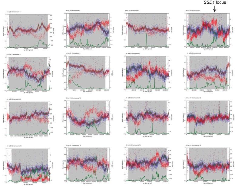 https://cdn.ncbi.nlm.nih.gov/pmc/blobs/6a87/6970514/0e3a7c5b9eb7/elife-52063-fig1-figsupp3.jpg