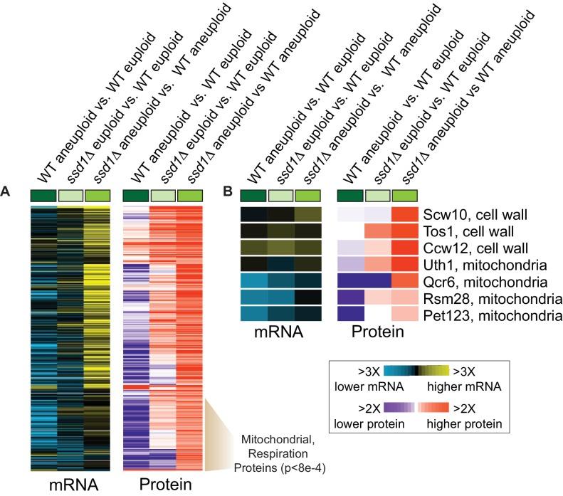 https://cdn.ncbi.nlm.nih.gov/pmc/blobs/6a87/6970514/9bbedb93b19b/elife-52063-fig3.jpg