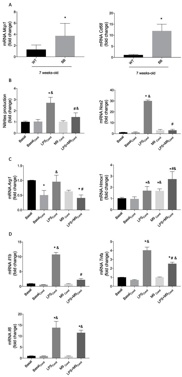 https://cdn.ncbi.nlm.nih.gov/pmc/blobs/6a88/11313200/59d357066fd6/ijms-25-08440-g006.jpg