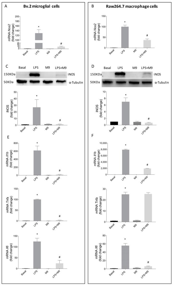 https://cdn.ncbi.nlm.nih.gov/pmc/blobs/6a88/11313200/9d16ec70ed77/ijms-25-08440-g002.jpg
