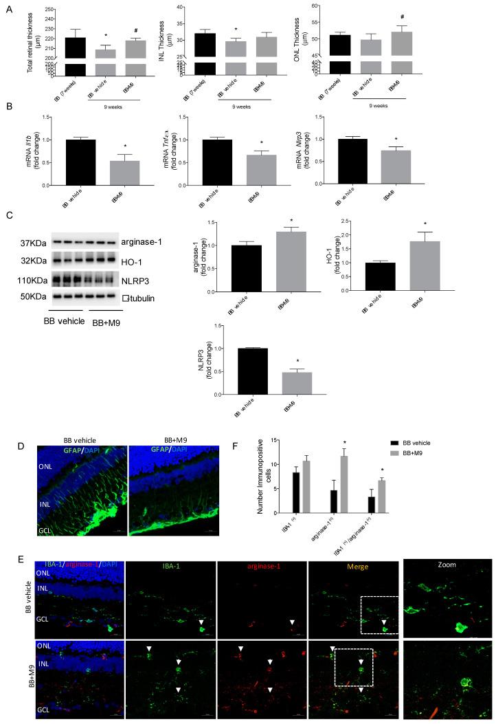 https://cdn.ncbi.nlm.nih.gov/pmc/blobs/6a88/11313200/b0baeafde6c6/ijms-25-08440-g008.jpg
