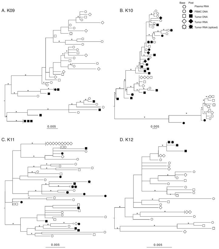 https://cdn.ncbi.nlm.nih.gov/pmc/blobs/6a8a/9782636/840ef4c6cebb/viruses-14-02774-g002.jpg