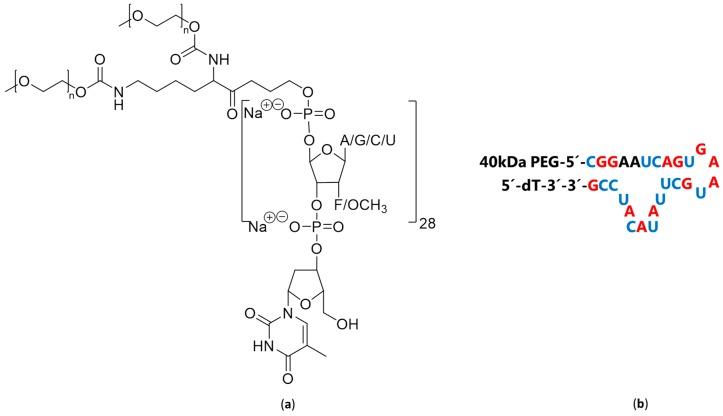 https://cdn.ncbi.nlm.nih.gov/pmc/blobs/6a8b/6941022/d71dea4d2101/ijms-20-06289-g003.jpg