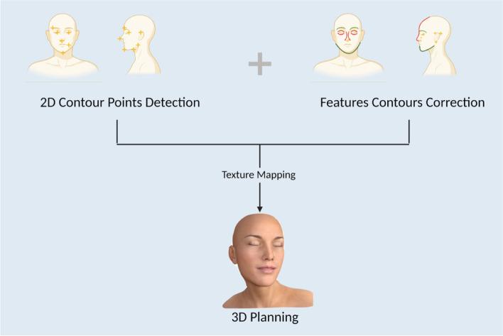 https://cdn.ncbi.nlm.nih.gov/pmc/blobs/6a8c/10011265/c71dd9d516cb/40902_2023_382_Fig2_HTML.jpg
