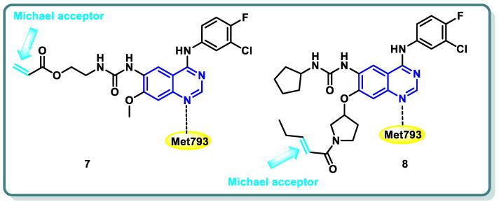 https://cdn.ncbi.nlm.nih.gov/pmc/blobs/6a8e/10892255/52c1c316d78d/molecules-29-00875-g004.jpg