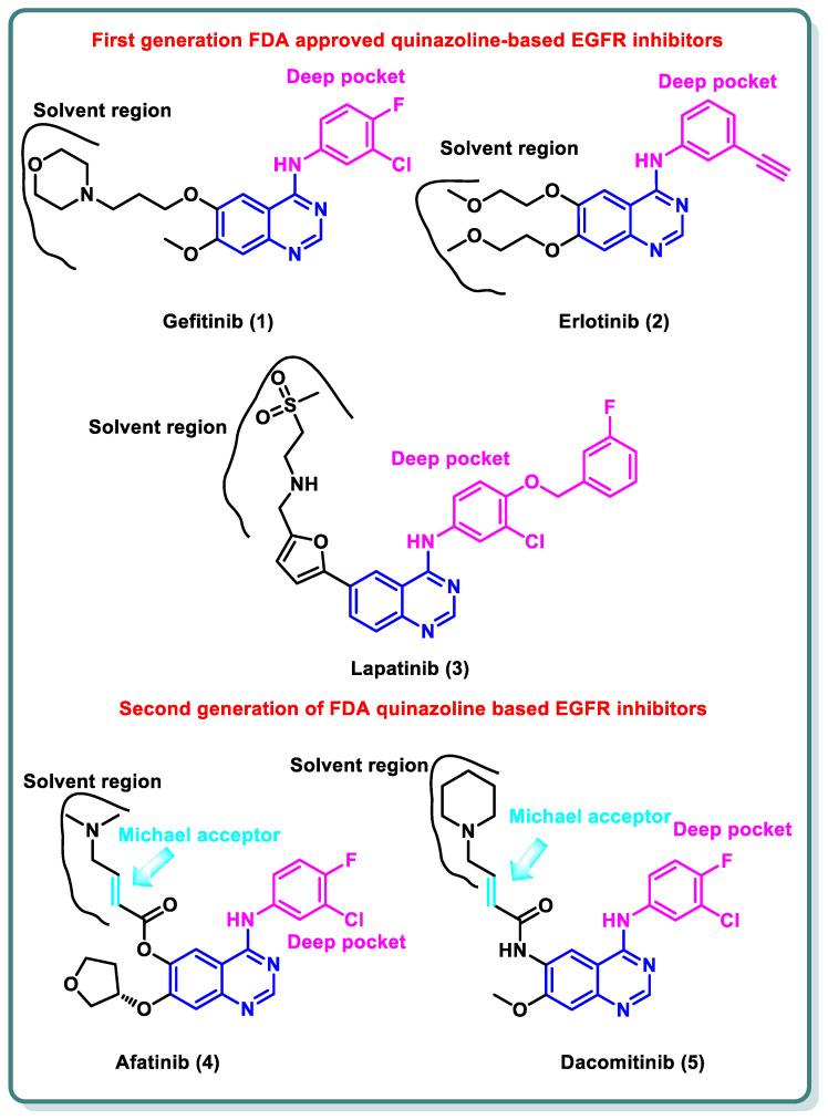 https://cdn.ncbi.nlm.nih.gov/pmc/blobs/6a8e/10892255/b454768f50cc/molecules-29-00875-g002.jpg