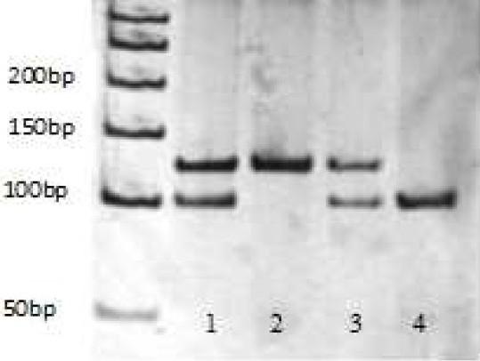 https://cdn.ncbi.nlm.nih.gov/pmc/blobs/6a8e/3263076/838d06013b03/JRMS-16-1006-g003.jpg