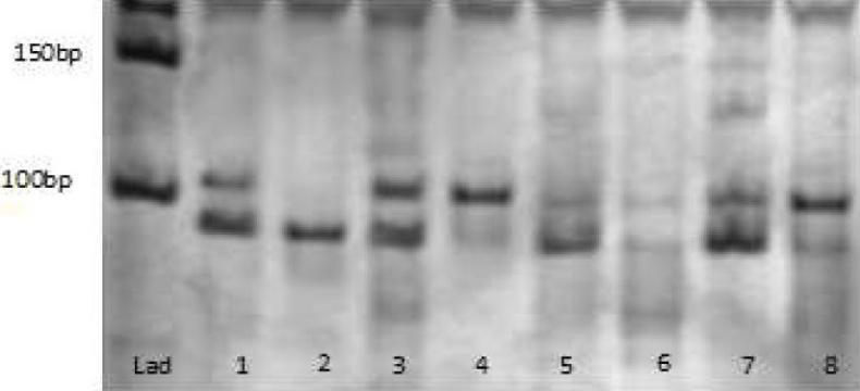 https://cdn.ncbi.nlm.nih.gov/pmc/blobs/6a8e/3263076/e11c97f1689e/JRMS-16-1006-g002.jpg