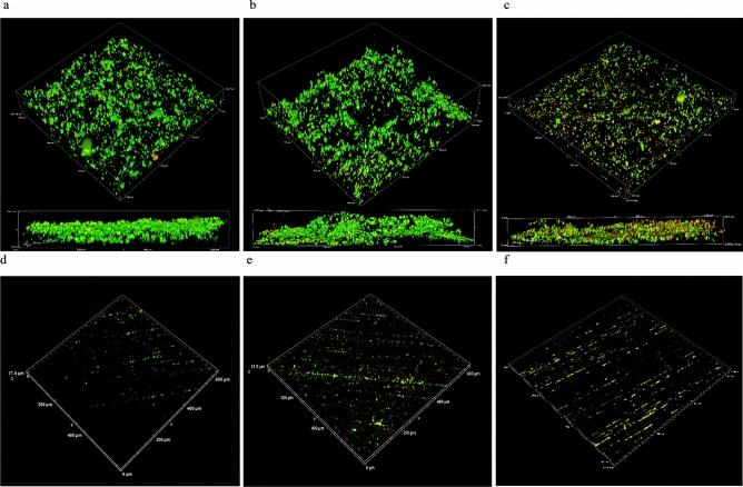 https://cdn.ncbi.nlm.nih.gov/pmc/blobs/6a8e/8333064/75fc99110626/41598_2021_94827_Fig4_HTML.jpg