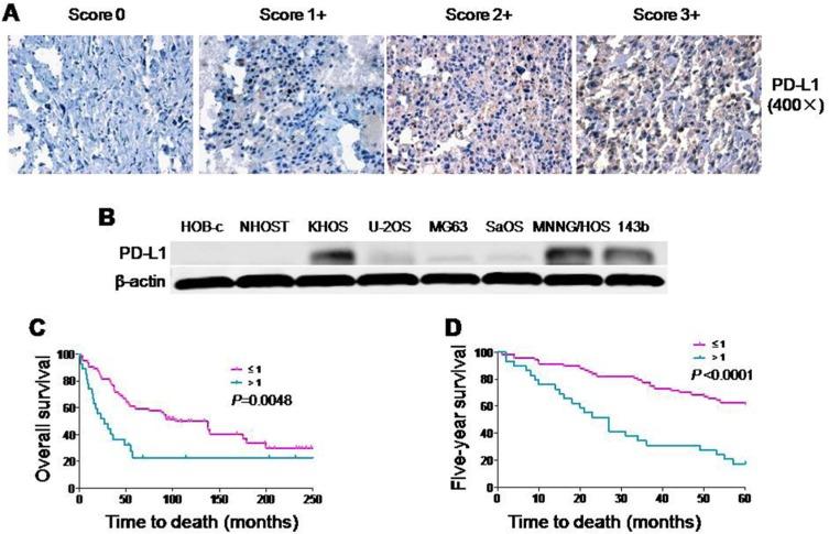 https://cdn.ncbi.nlm.nih.gov/pmc/blobs/6a8f/5444742/e37c91d008f4/oncotarget-08-30276-g001.jpg