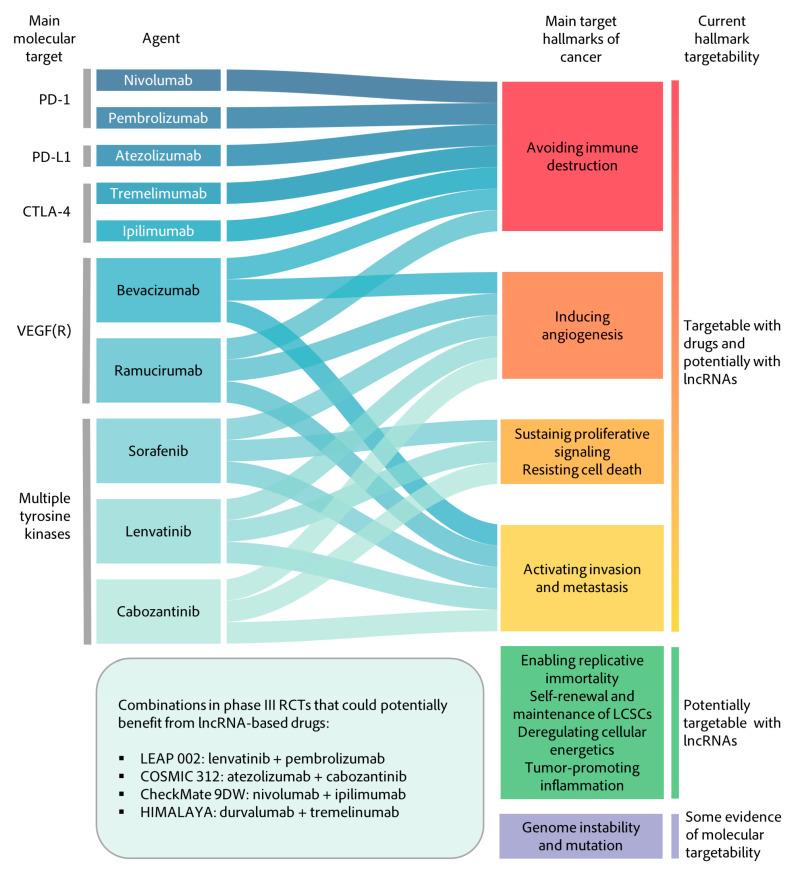 https://cdn.ncbi.nlm.nih.gov/pmc/blobs/6a90/8197910/d64a5029bb9a/cancers-13-02651-g005.jpg