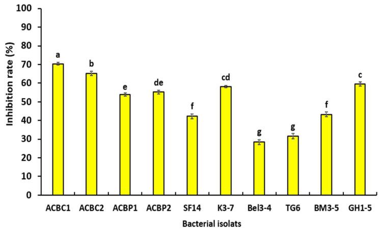 https://cdn.ncbi.nlm.nih.gov/pmc/blobs/6a90/9412840/5d700101e48e/microorganisms-10-01635-g003.jpg