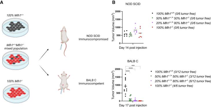 https://cdn.ncbi.nlm.nih.gov/pmc/blobs/6a90/9833846/3bfe47e493ee/gr2.jpg