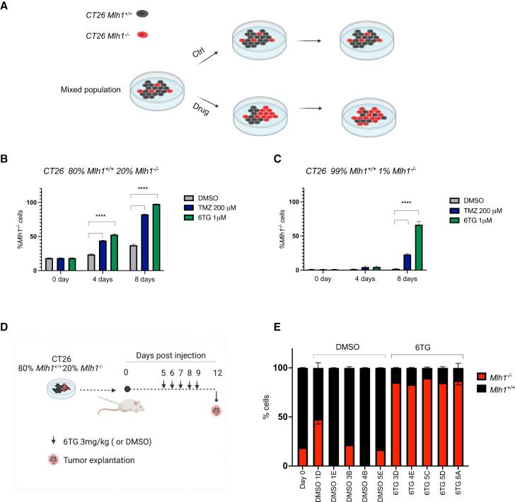 https://cdn.ncbi.nlm.nih.gov/pmc/blobs/6a90/9833846/9c8734760e85/gr6.jpg