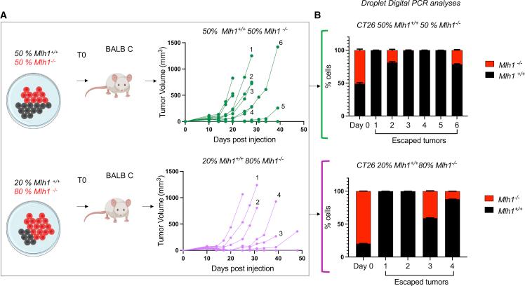 https://cdn.ncbi.nlm.nih.gov/pmc/blobs/6a90/9833846/bf83710f77be/gr4.jpg