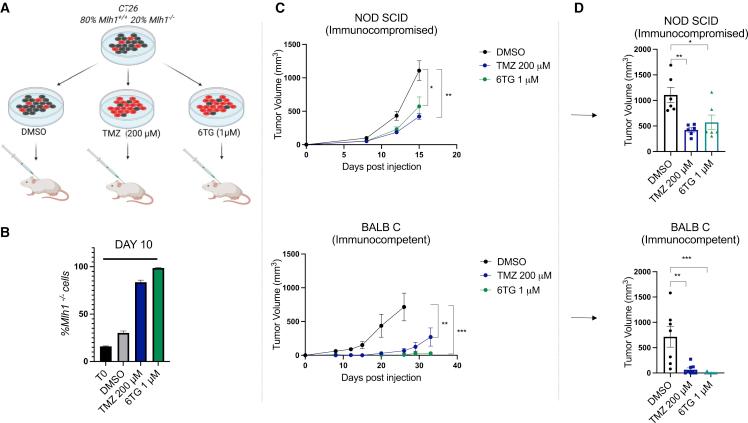 https://cdn.ncbi.nlm.nih.gov/pmc/blobs/6a90/9833846/f29834ad36a8/gr7.jpg