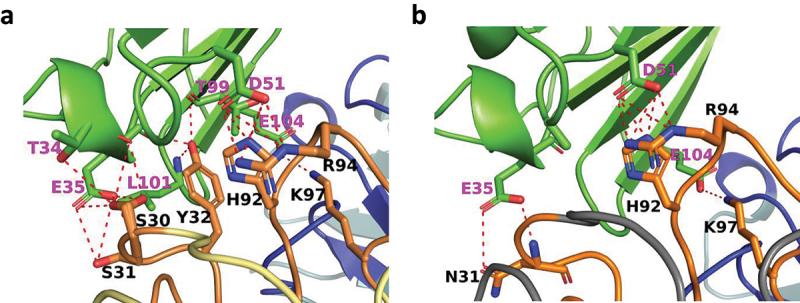 https://cdn.ncbi.nlm.nih.gov/pmc/blobs/6a92/11164222/0a0a0dac503f/KMAB_A_2362432_F0005_OC.jpg