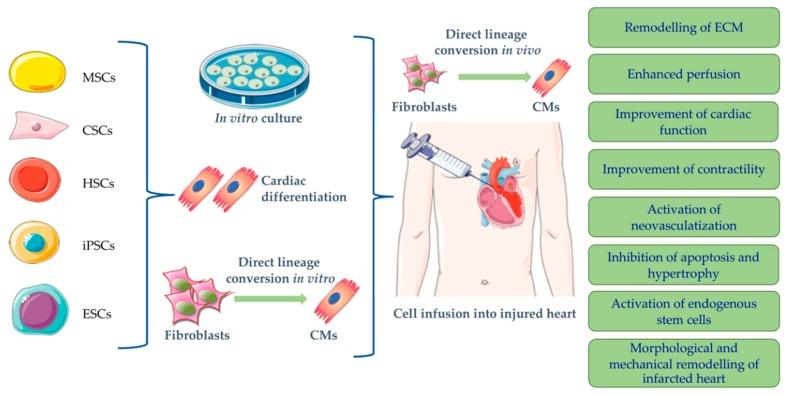 https://cdn.ncbi.nlm.nih.gov/pmc/blobs/6a93/6888119/febcfec88d52/ijms-20-05760-g003.jpg