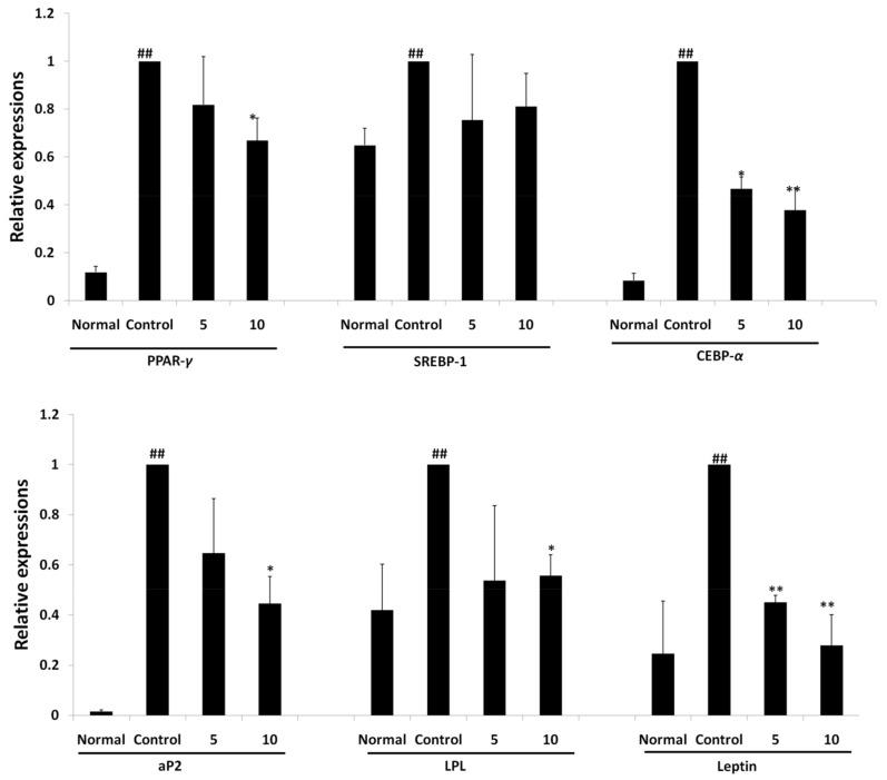 https://cdn.ncbi.nlm.nih.gov/pmc/blobs/6a93/8839251/1fce6709dc94/molecules-27-00676-g008.jpg