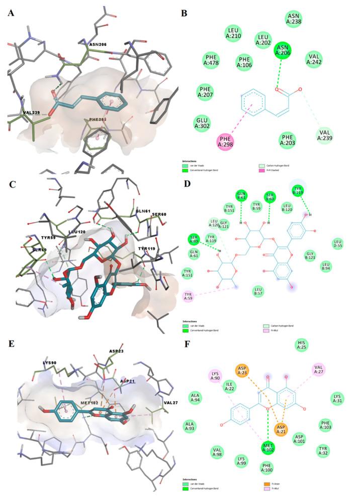 https://cdn.ncbi.nlm.nih.gov/pmc/blobs/6a93/9269044/df6a1201da5c/plants-11-01680-g008.jpg