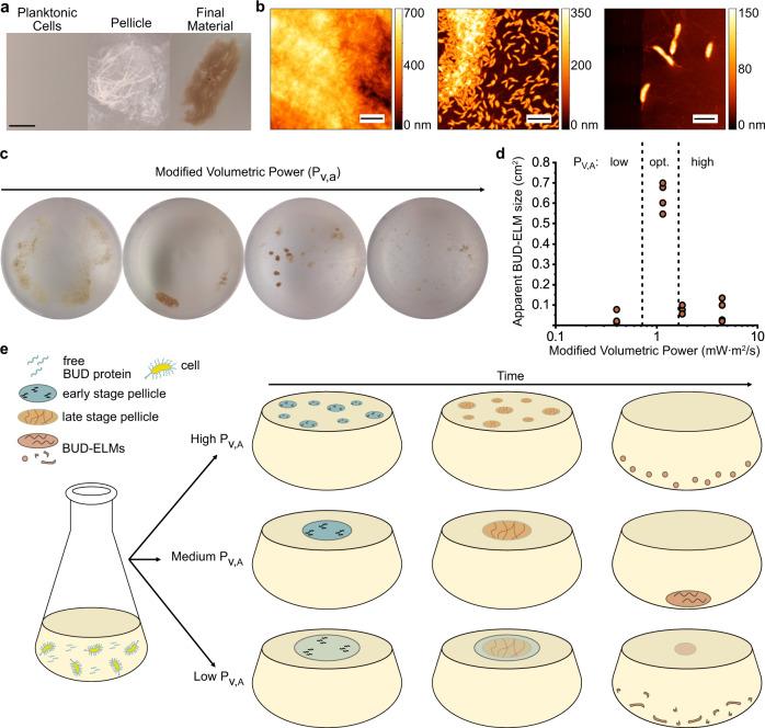 https://cdn.ncbi.nlm.nih.gov/pmc/blobs/6a95/9492681/7bd358c3d866/41467_2022_33191_Fig3_HTML.jpg