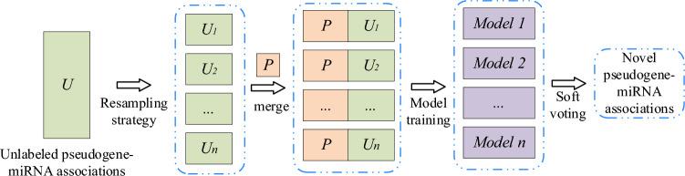 https://cdn.ncbi.nlm.nih.gov/pmc/blobs/6a9a/10232424/ac944092305b/41598_2023_36054_Fig1_HTML.jpg