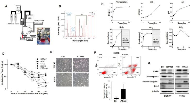 https://cdn.ncbi.nlm.nih.gov/pmc/blobs/6a9a/7833439/bc8ab3657e73/cancers-13-00351-g001.jpg