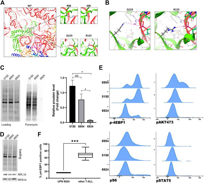 https://cdn.ncbi.nlm.nih.gov/pmc/blobs/6a9b/9723238/bd571d456f04/fgene-13-1058468-g004.jpg