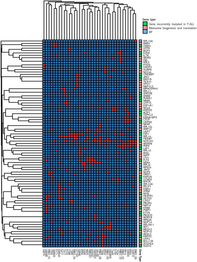 https://cdn.ncbi.nlm.nih.gov/pmc/blobs/6a9b/9723238/f32f17cda180/fgene-13-1058468-g003.jpg