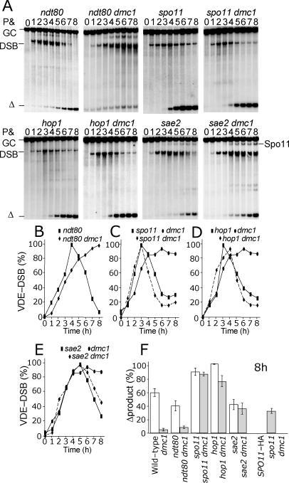 https://cdn.ncbi.nlm.nih.gov/pmc/blobs/6a9d/2098809/b0c7d4529e72/pgen.0030223.g004.jpg