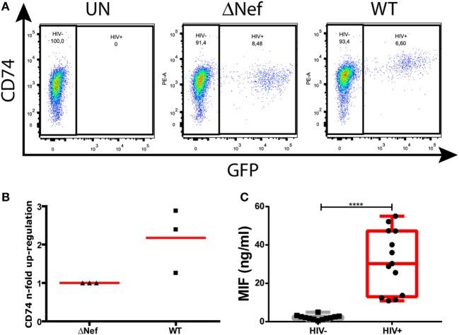 https://cdn.ncbi.nlm.nih.gov/pmc/blobs/6a9d/6030361/6c452c4f8643/fimmu-09-01494-g001.jpg