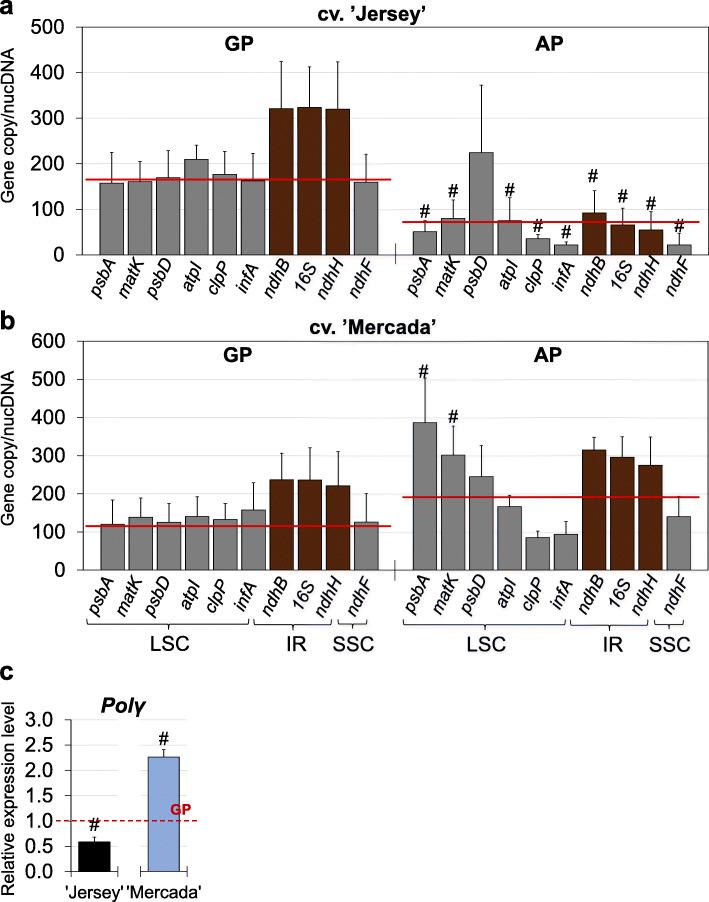 https://cdn.ncbi.nlm.nih.gov/pmc/blobs/6a9d/7792217/60a7c354bf8f/12870_2020_2755_Fig11_HTML.jpg