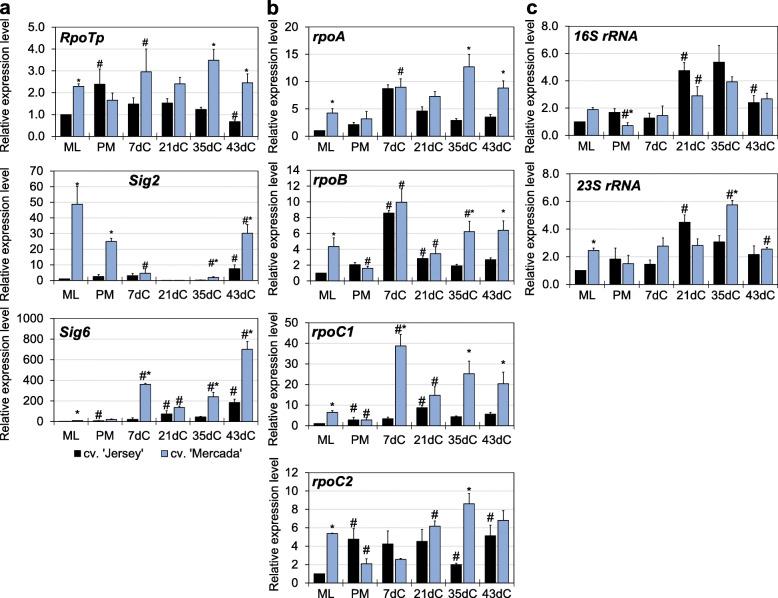 https://cdn.ncbi.nlm.nih.gov/pmc/blobs/6a9d/7792217/a5a8fb0c344a/12870_2020_2755_Fig4_HTML.jpg