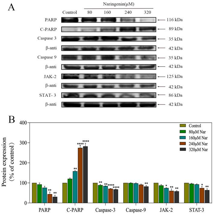 https://cdn.ncbi.nlm.nih.gov/pmc/blobs/6a9f/10254813/2e3d5688c745/molecules-28-04506-g008.jpg