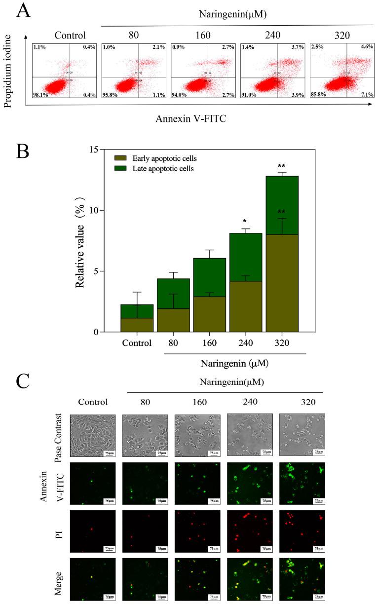 https://cdn.ncbi.nlm.nih.gov/pmc/blobs/6a9f/10254813/48960414502c/molecules-28-04506-g003a.jpg