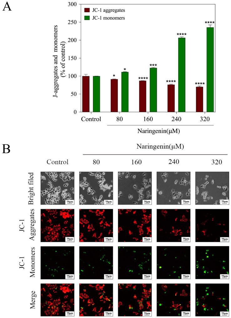 https://cdn.ncbi.nlm.nih.gov/pmc/blobs/6a9f/10254813/62069d6cb5f2/molecules-28-04506-g002.jpg