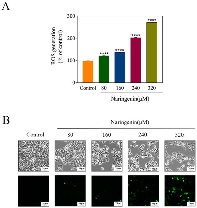 https://cdn.ncbi.nlm.nih.gov/pmc/blobs/6a9f/10254813/830a568e086d/molecules-28-04506-g007.jpg
