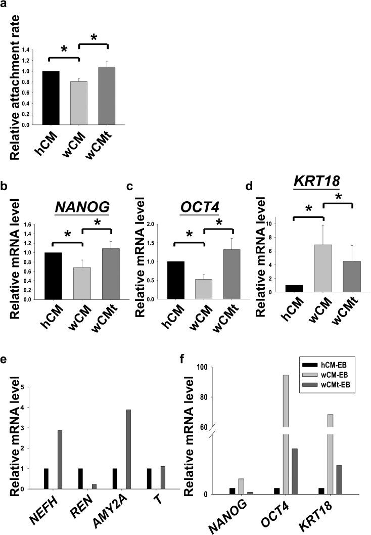 https://cdn.ncbi.nlm.nih.gov/pmc/blobs/6a9f/3480587/7db093cf5c18/441_2012_1476_Fig5_HTML.jpg