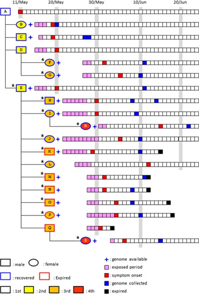 https://cdn.ncbi.nlm.nih.gov/pmc/blobs/6a9f/4810480/193e948cce91/mbo0011626970001.jpg