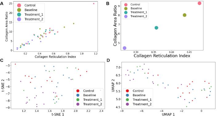 https://cdn.ncbi.nlm.nih.gov/pmc/blobs/6aa0/11482176/7809654c27a2/boe-15-10-5980-g003.jpg