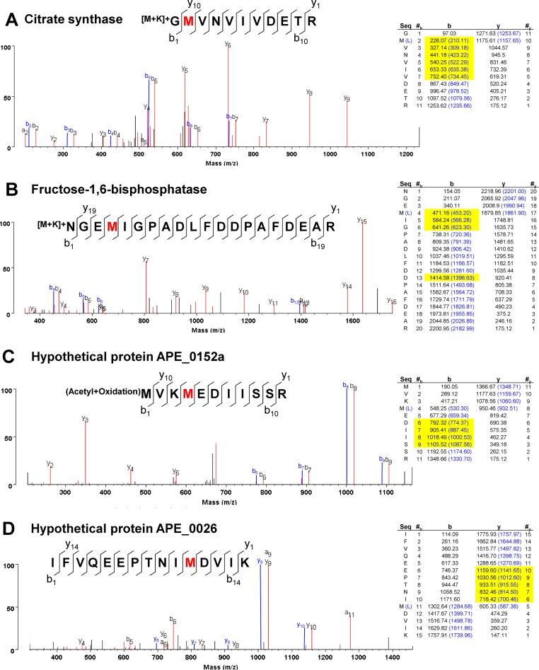 https://cdn.ncbi.nlm.nih.gov/pmc/blobs/6aa0/4705672/41697d0f2185/gkv1379fig3.jpg