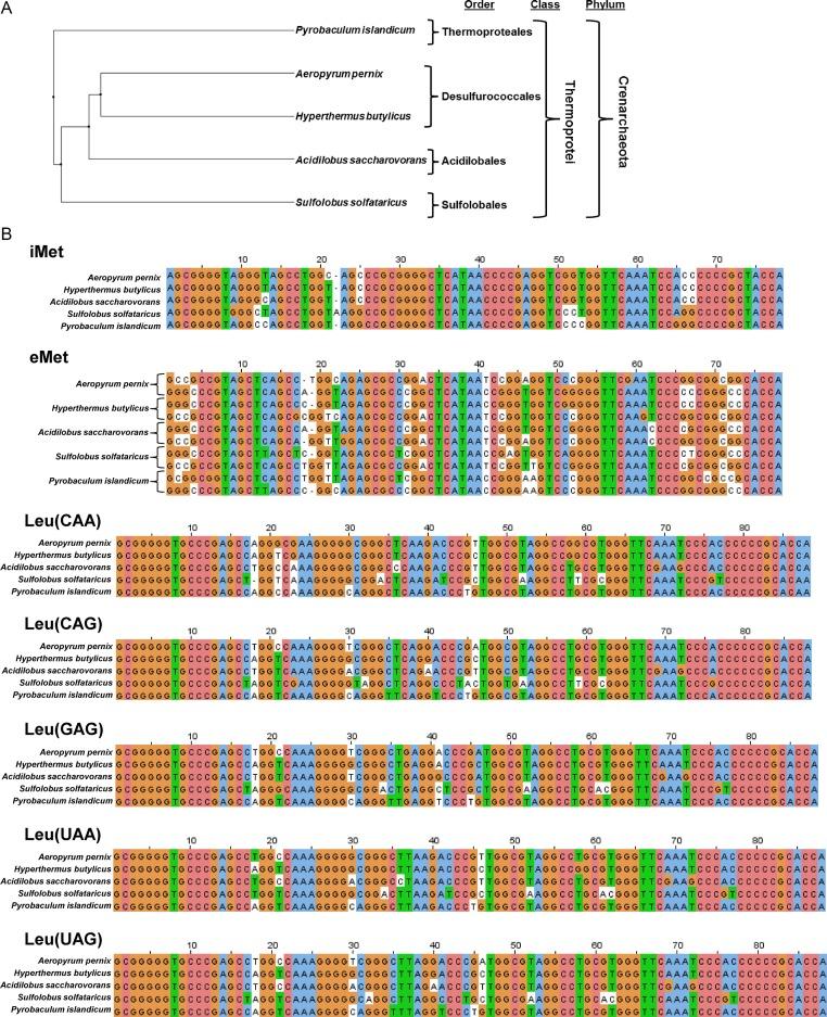 https://cdn.ncbi.nlm.nih.gov/pmc/blobs/6aa0/4705672/cc48a3333414/gkv1379fig5.jpg