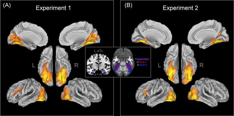https://cdn.ncbi.nlm.nih.gov/pmc/blobs/6aa2/6693526/ac1de99e36e0/gr2.jpg