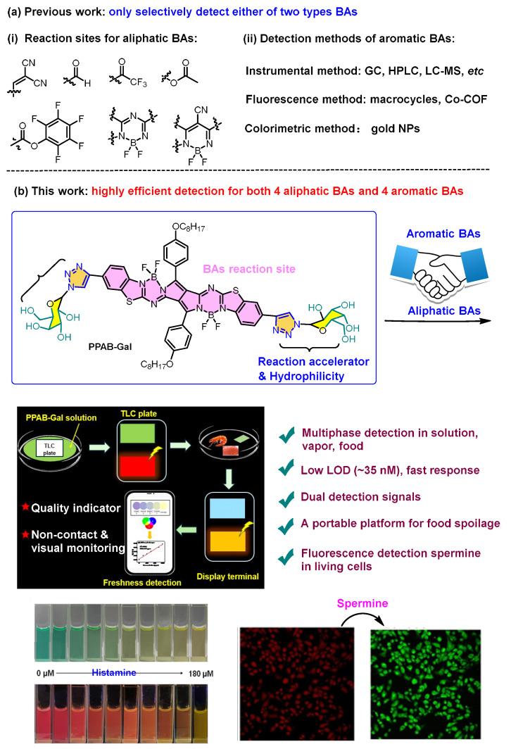 https://cdn.ncbi.nlm.nih.gov/pmc/blobs/6aa6/12384495/0118196cb9c4/biosensors-15-00542-sch001.jpg