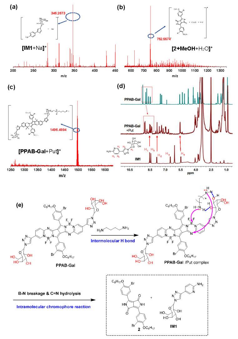 https://cdn.ncbi.nlm.nih.gov/pmc/blobs/6aa6/12384495/cda38cdc6a46/biosensors-15-00542-g004.jpg